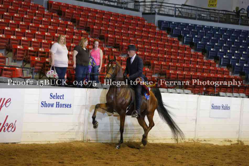 Proof Number 15BUCK_04675