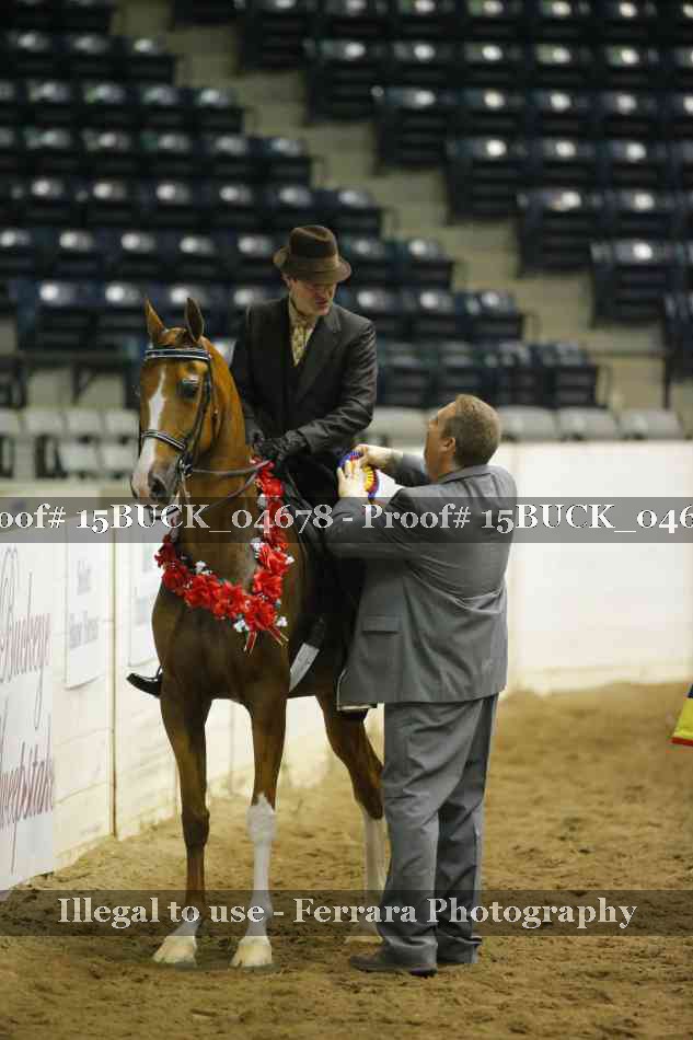 Proof Number 15BUCK_04678
