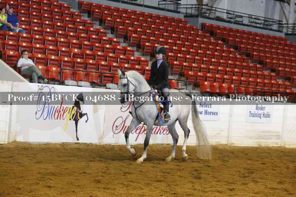 Proof Number 15BUCK_04688