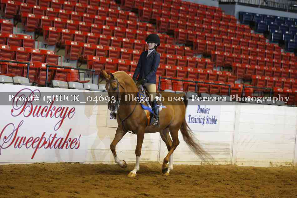 Proof Number 15BUCK_04693