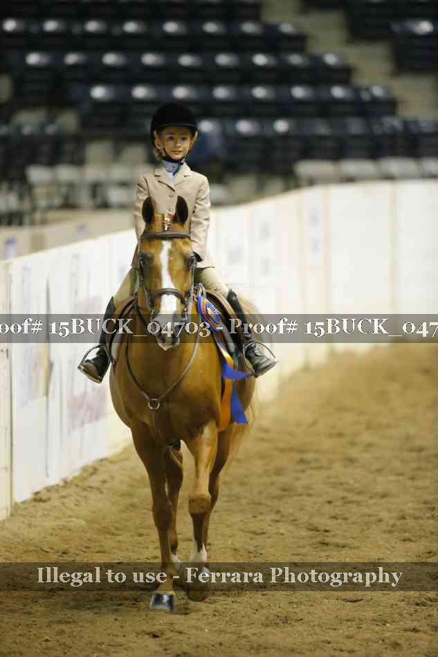 Proof Number 15BUCK_04703
