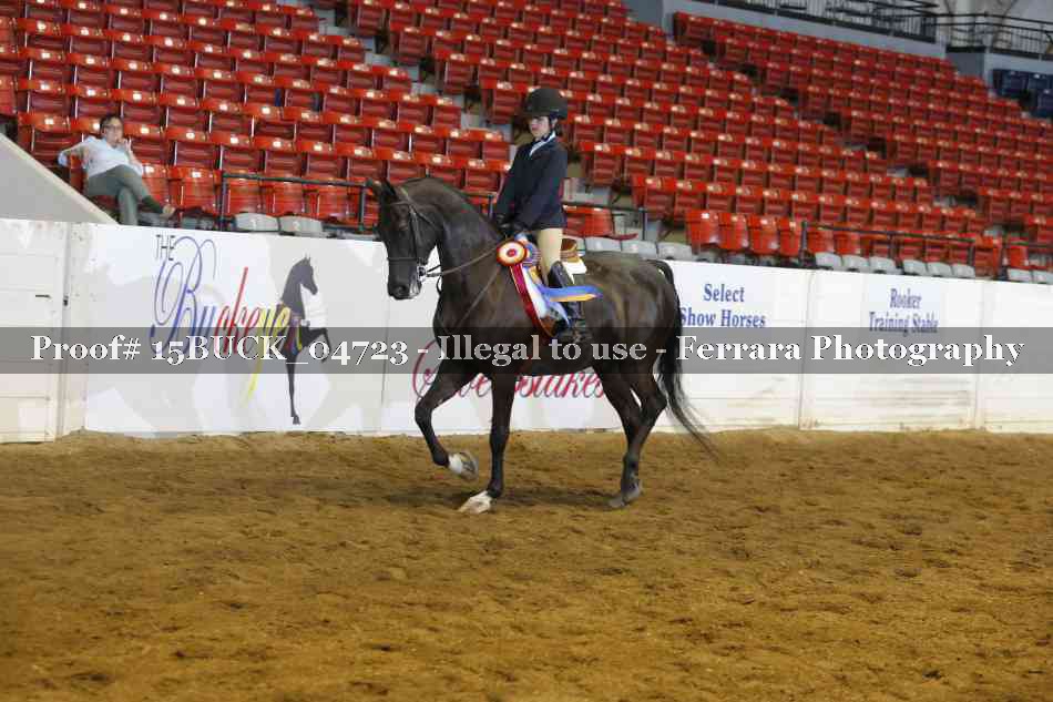 Proof Number 15BUCK_04723