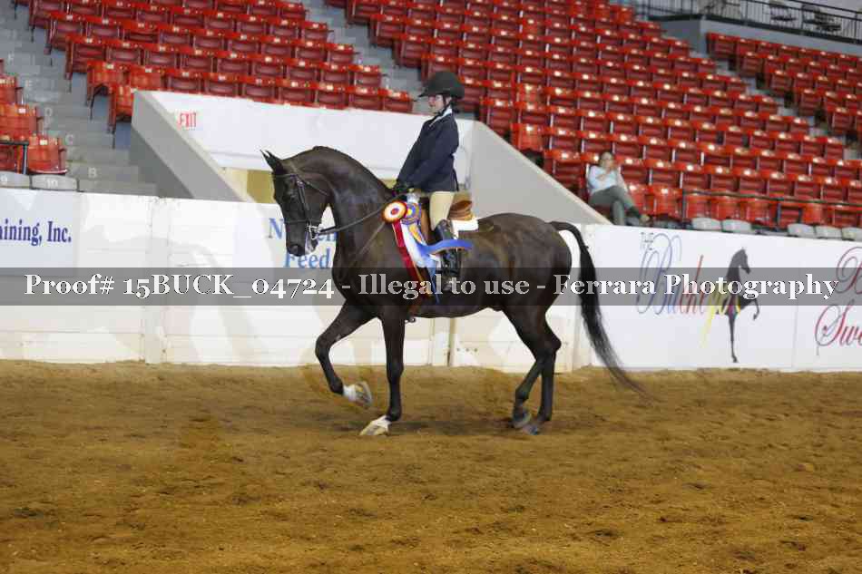 Proof Number 15BUCK_04724