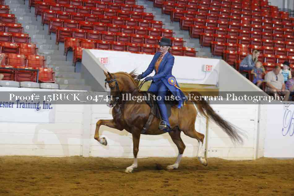 Proof Number 15BUCK_04741