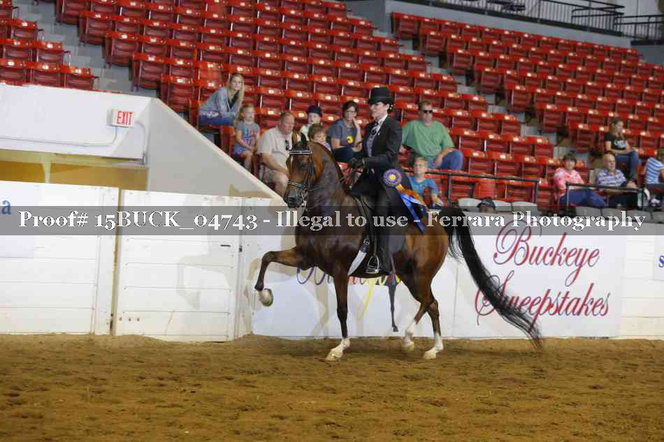 Proof Number 15BUCK_04743