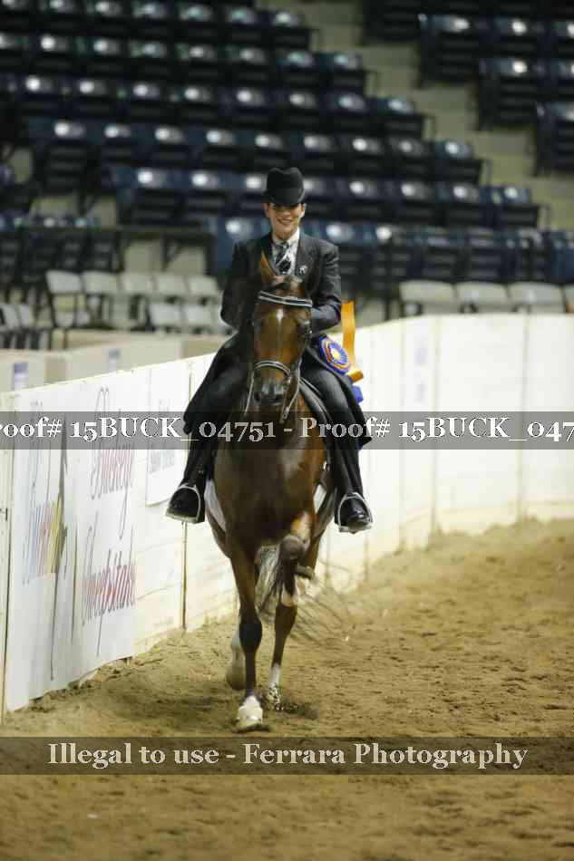 Proof Number 15BUCK_04751