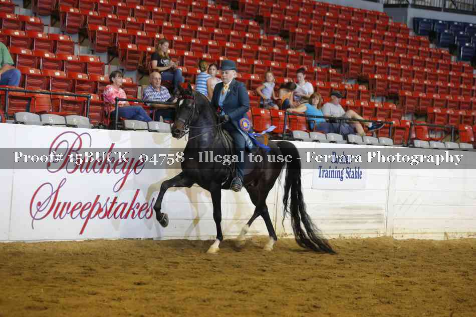 Proof Number 15BUCK_04758