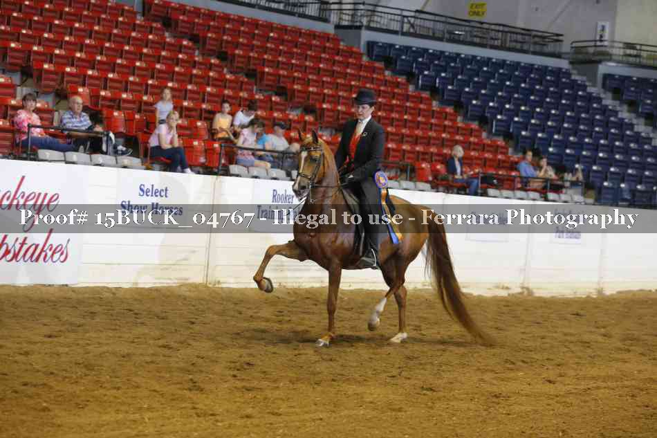 Proof Number 15BUCK_04767