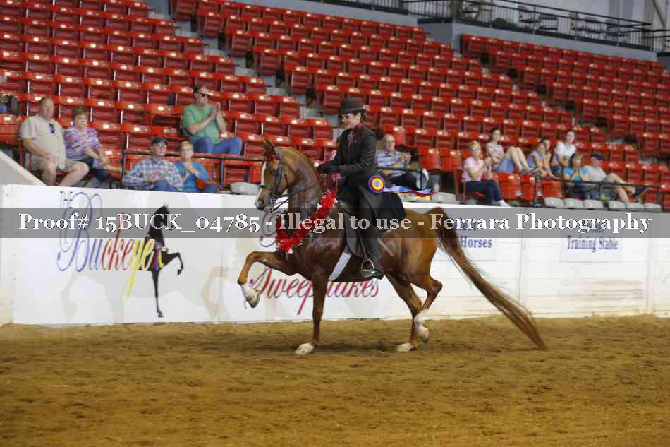 Proof Number 15BUCK_04785