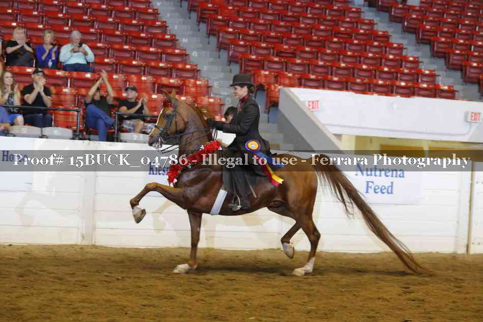 Proof Number 15BUCK_04786