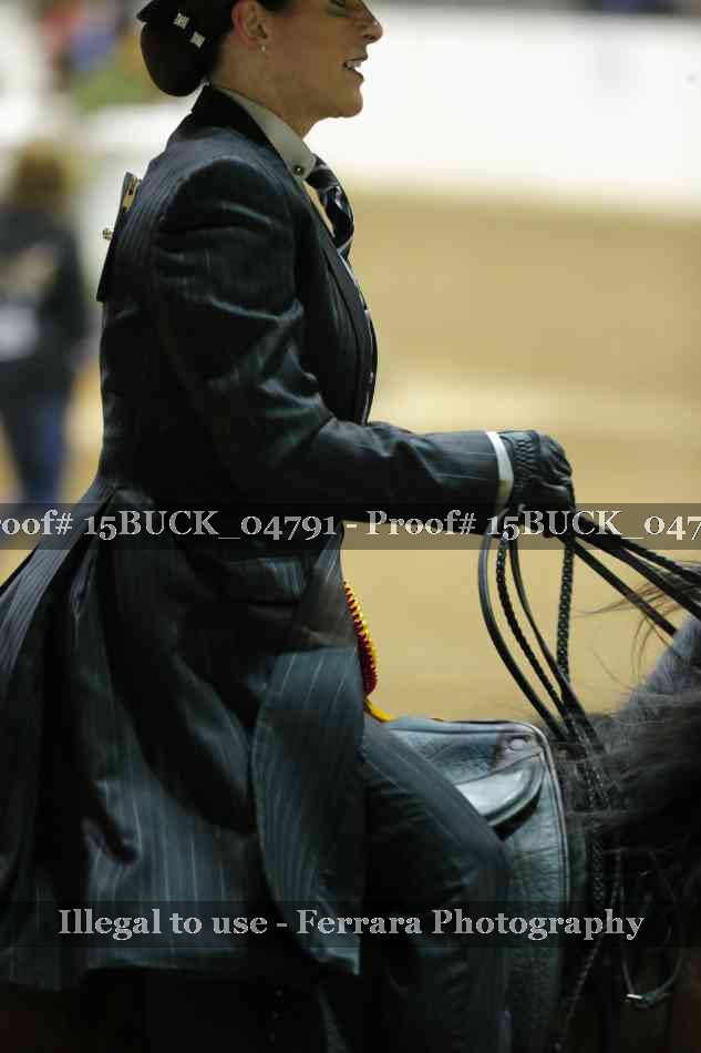 Proof Number 15BUCK_04791