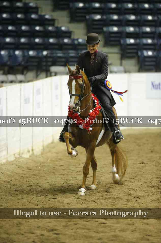 Proof Number 15BUCK_04792