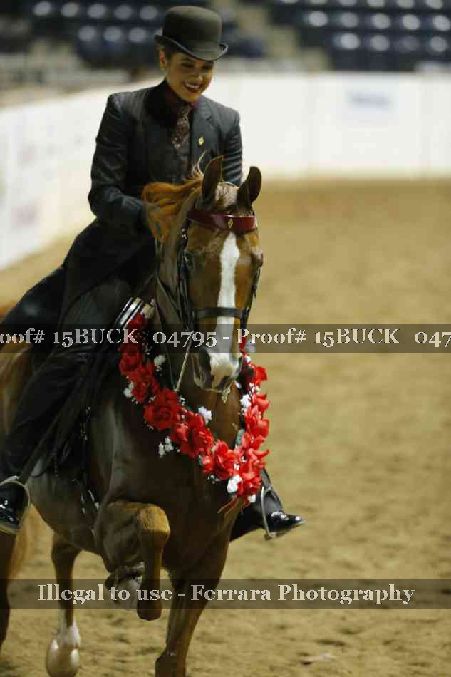 Proof Number 15BUCK_04795