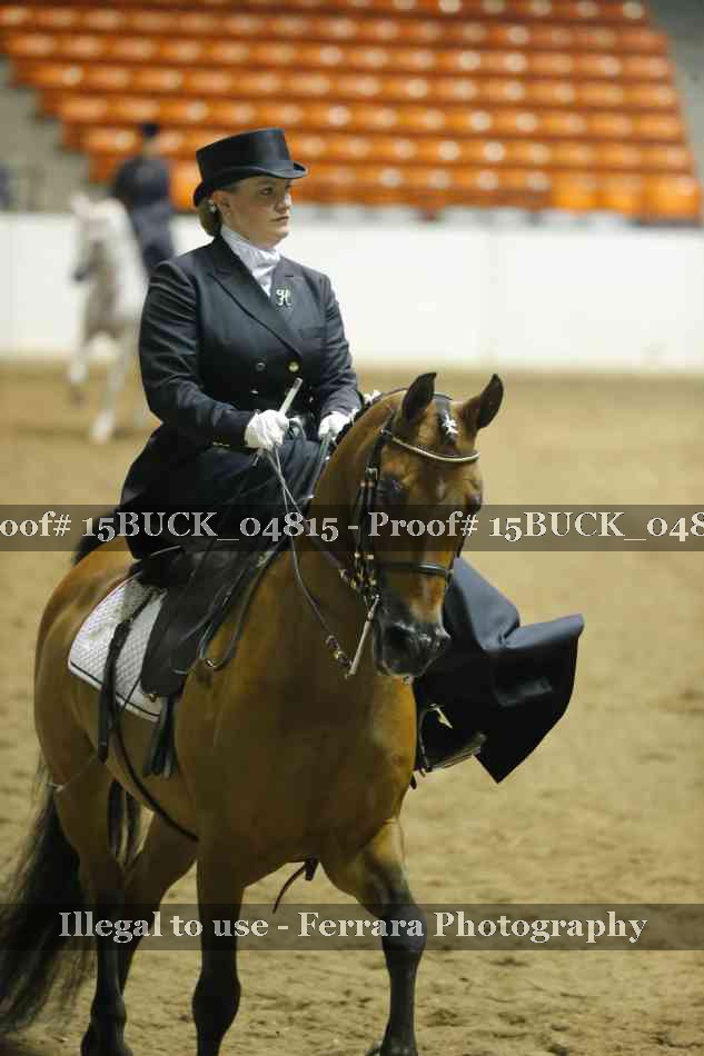 Proof Number 15BUCK_04815