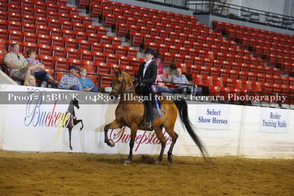 Proof Number 15BUCK_04830