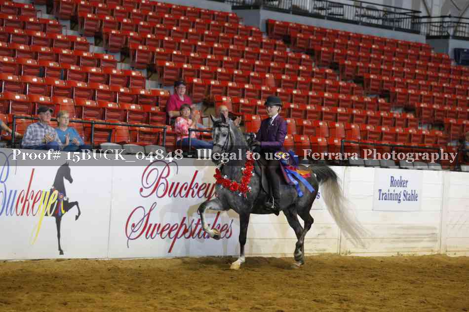 Proof Number 15BUCK_04848