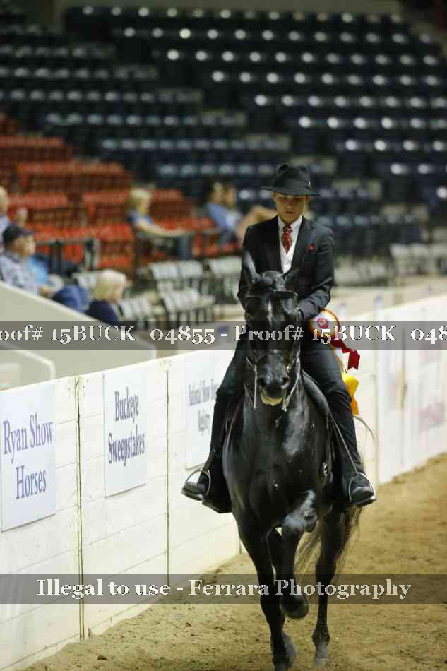Proof Number 15BUCK_04855