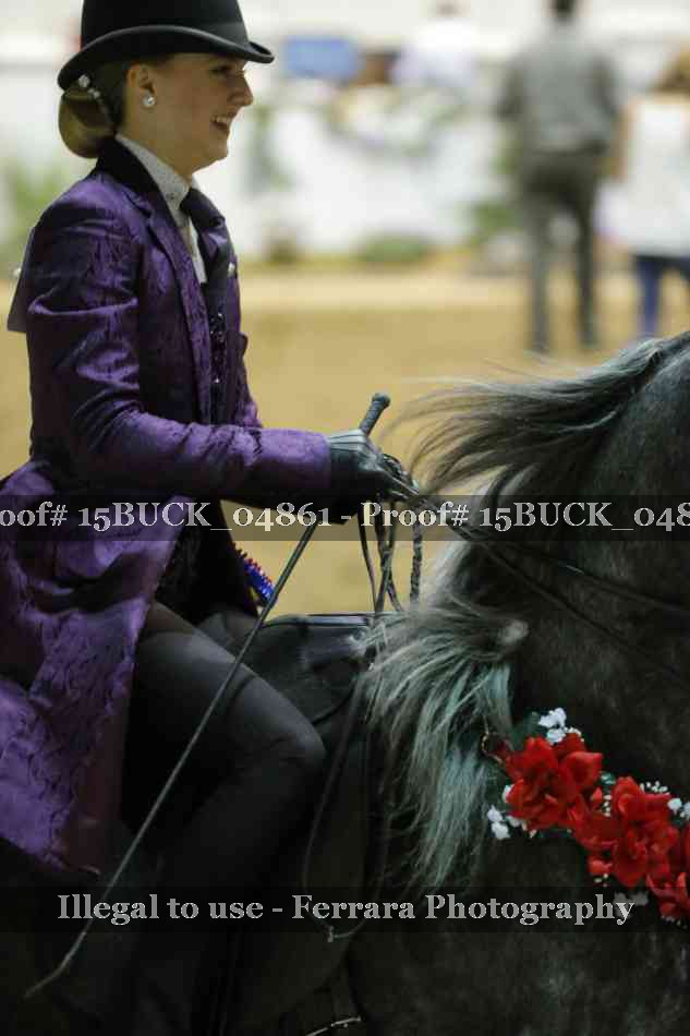 Proof Number 15BUCK_04861
