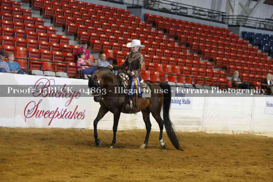 Proof Number 15BUCK_04863