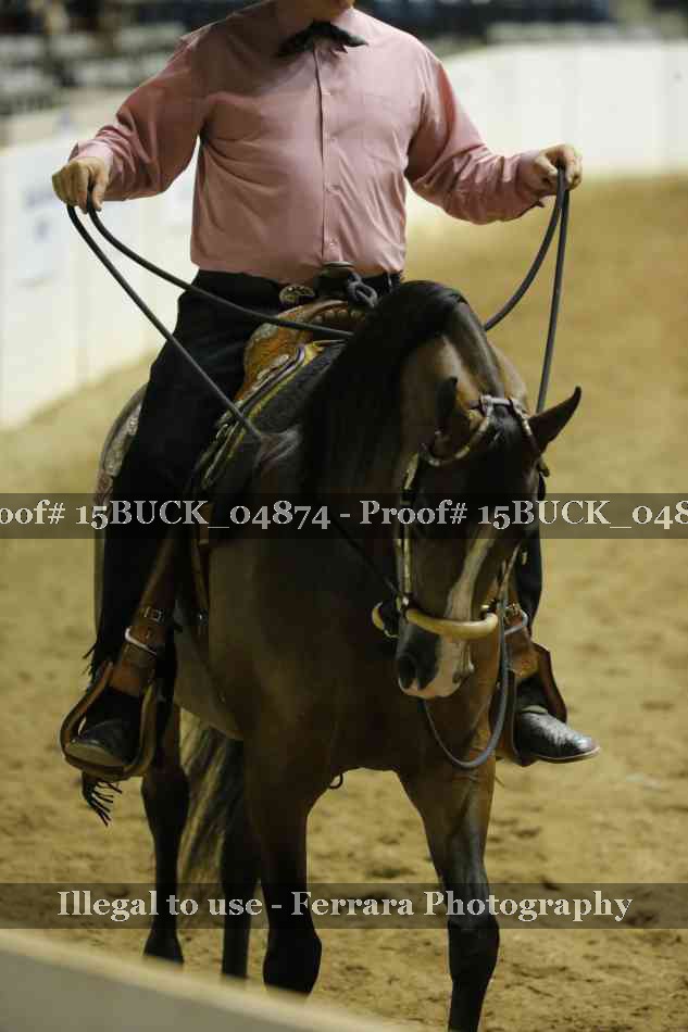 Proof Number 15BUCK_04874