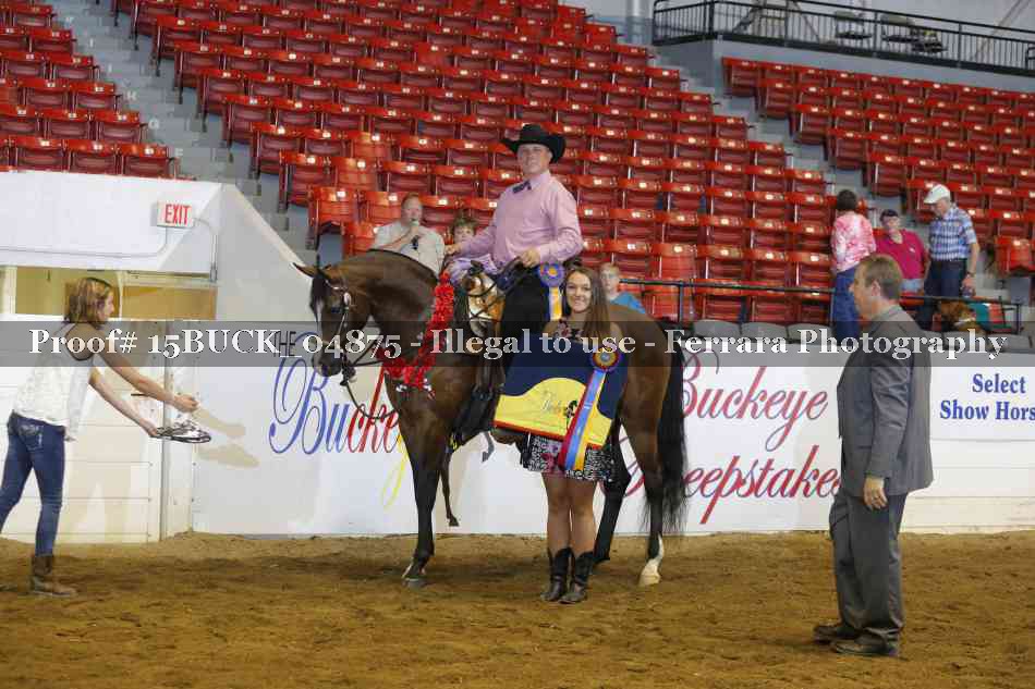 Proof Number 15BUCK_04875