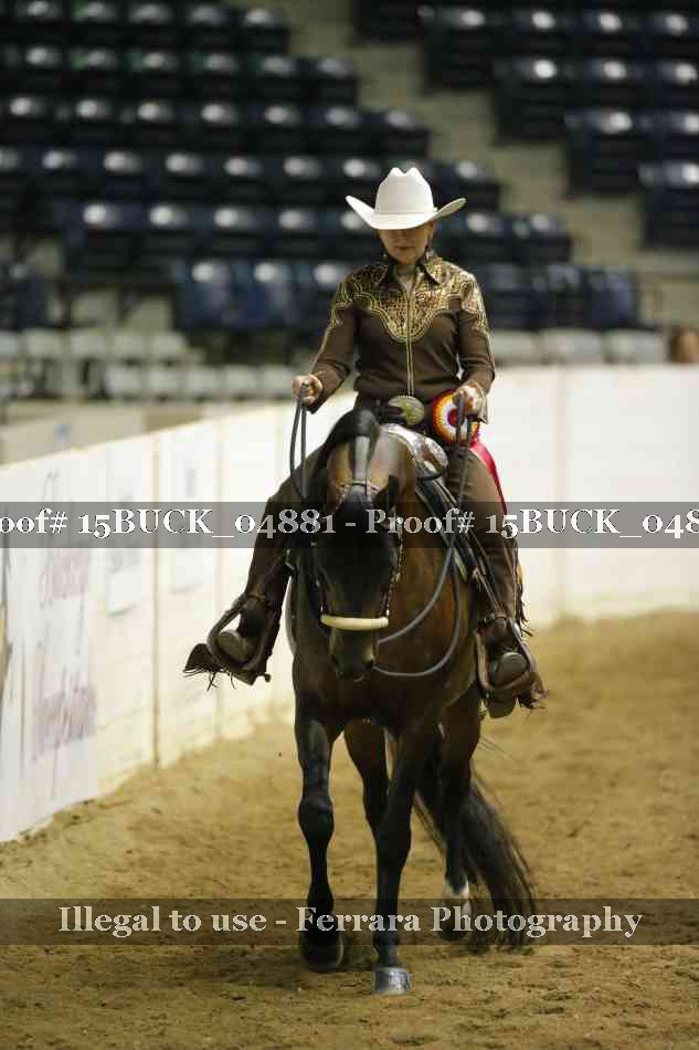 Proof Number 15BUCK_04881
