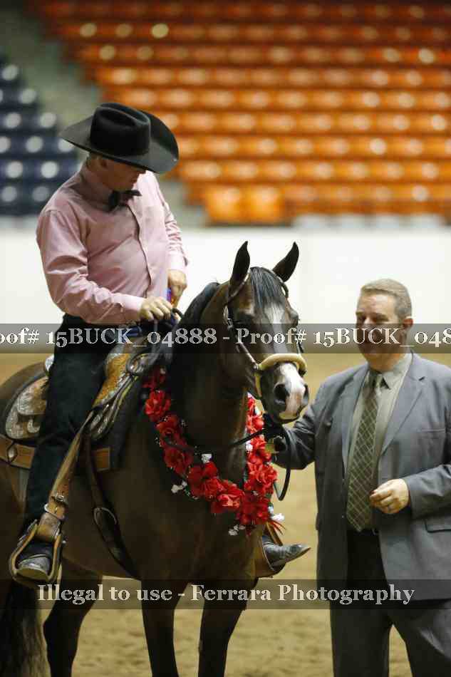 Proof Number 15BUCK_04888