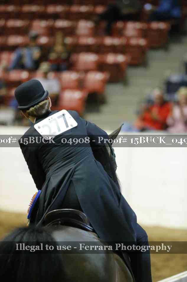 Proof Number 15BUCK_04908
