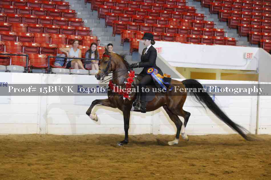 Proof Number 15BUCK_04916