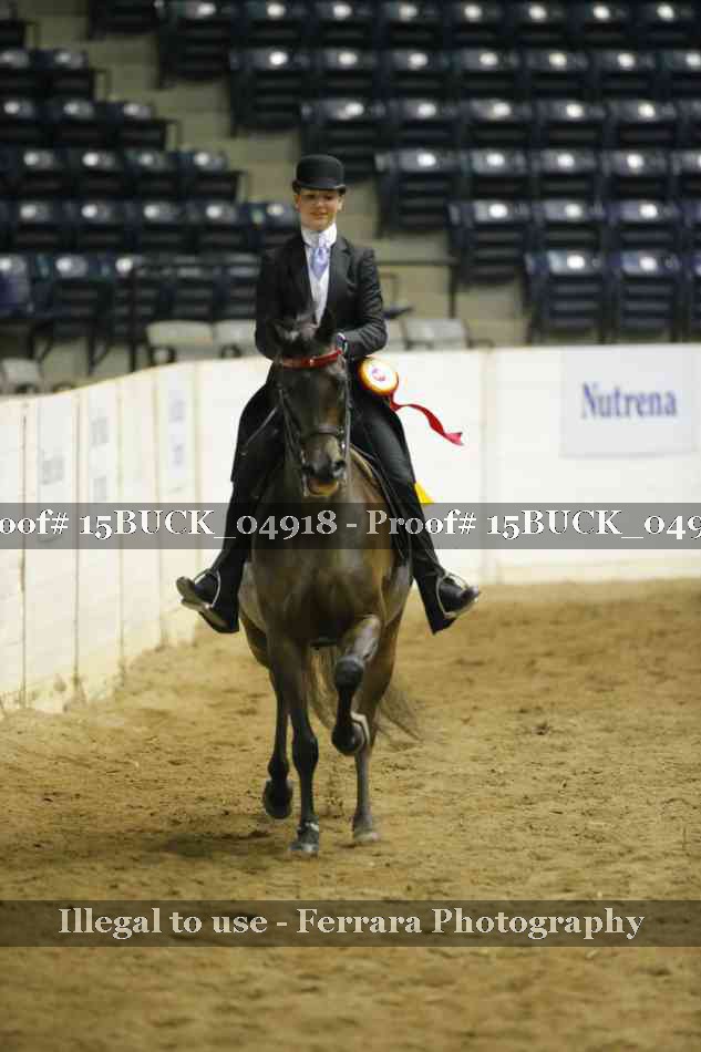 Proof Number 15BUCK_04918