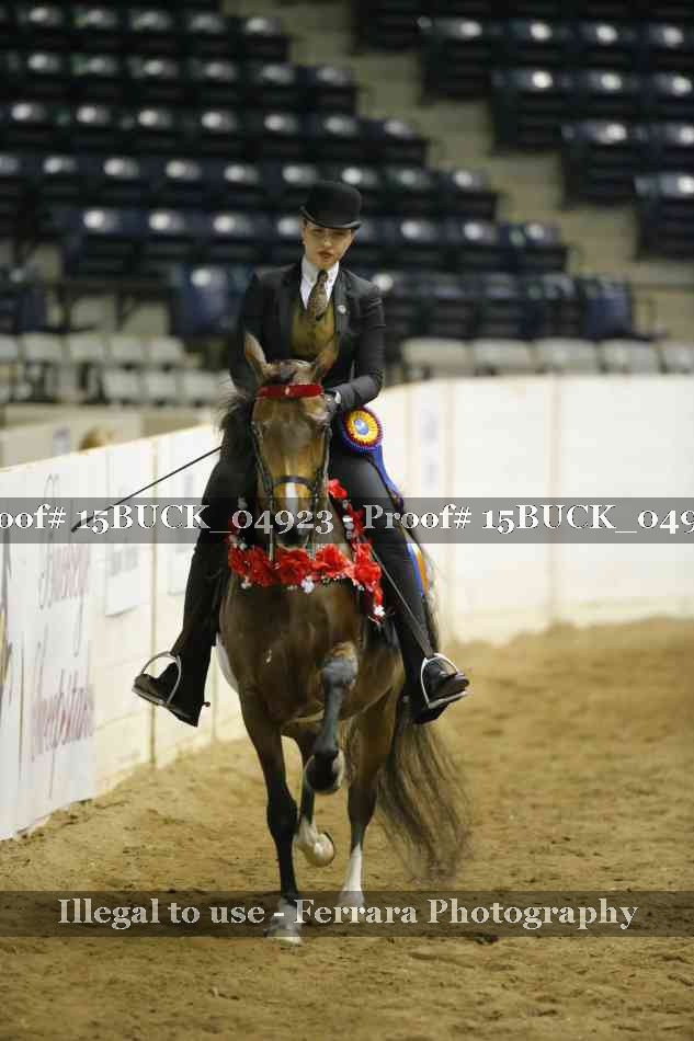 Proof Number 15BUCK_04923
