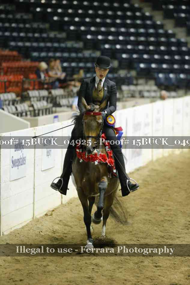 Proof Number 15BUCK_04925