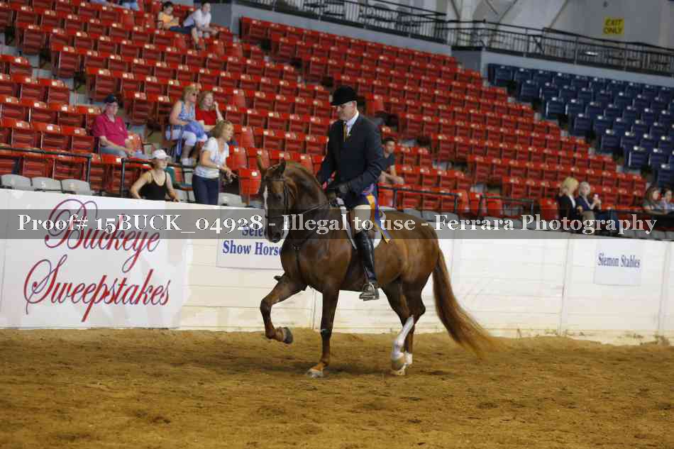 Proof Number 15BUCK_04928