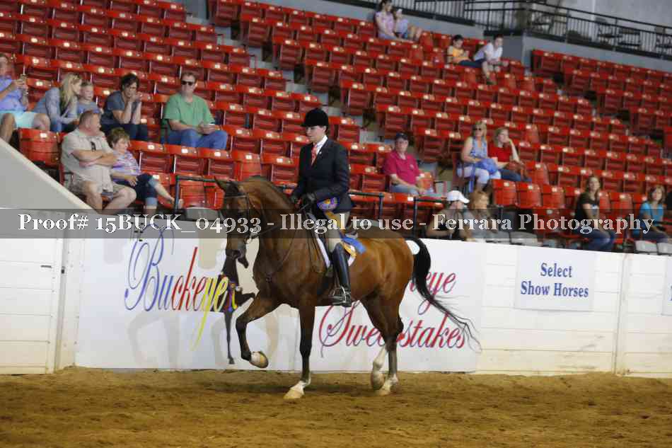 Proof Number 15BUCK_04933