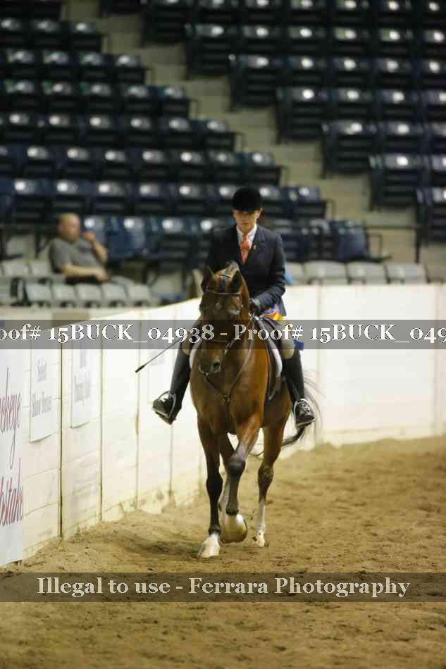Proof Number 15BUCK_04938