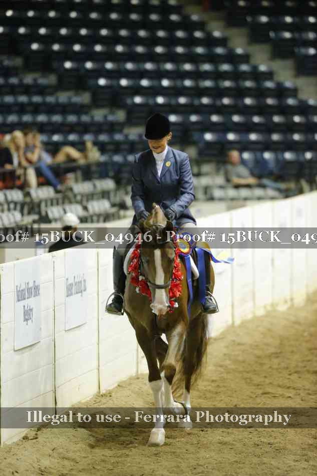 Proof Number 15BUCK_04946