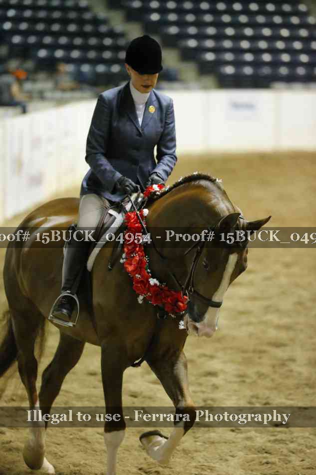 Proof Number 15BUCK_04954