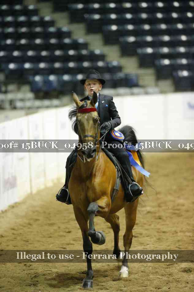 Proof Number 15BUCK_04958