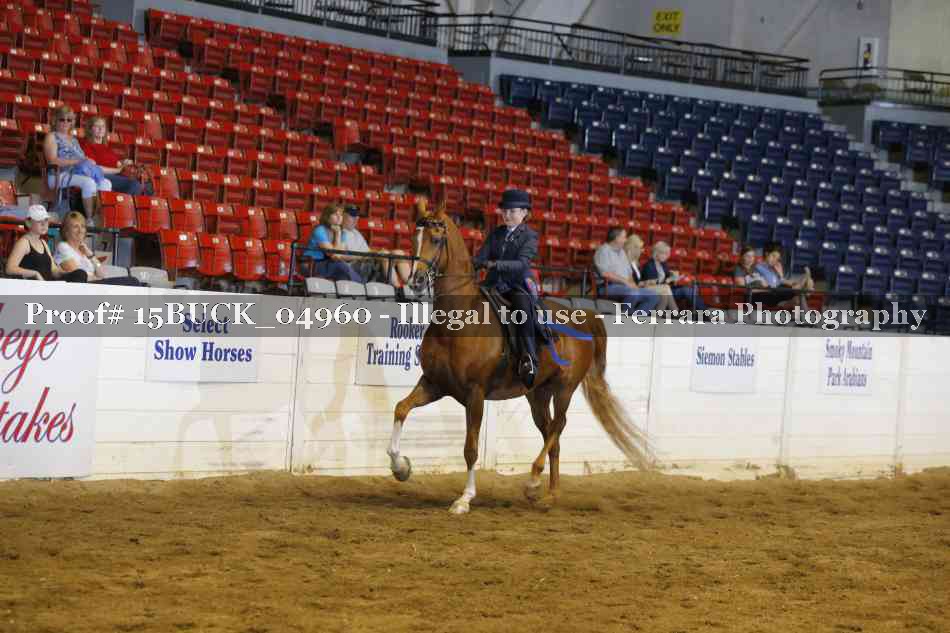 Proof Number 15BUCK_04960