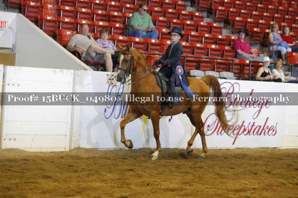 Proof Number 15BUCK_04980