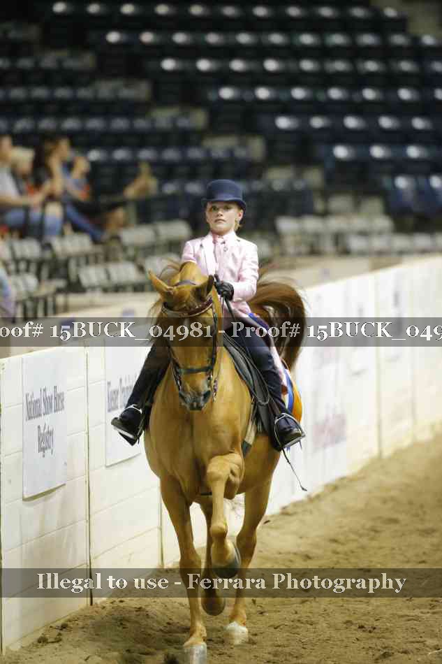 Proof Number 15BUCK_04981