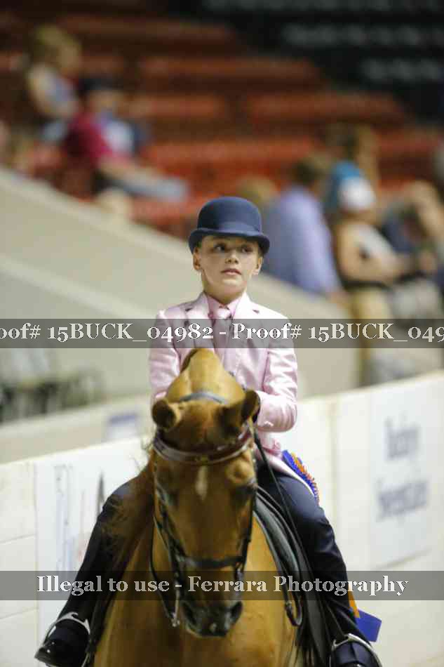 Proof Number 15BUCK_04982