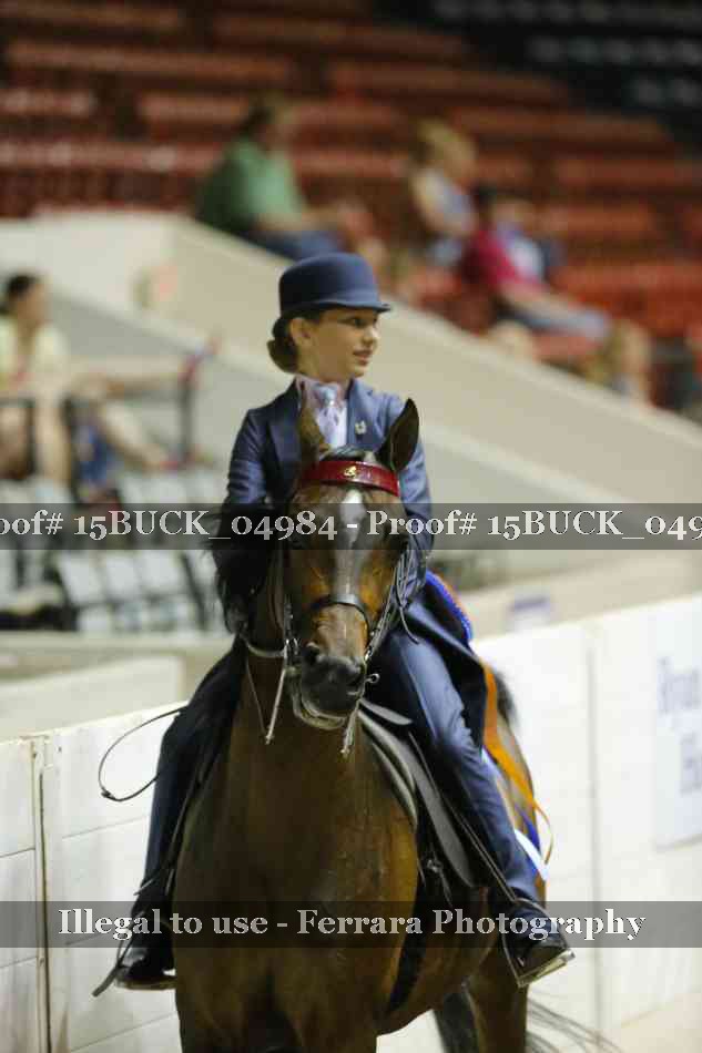 Proof Number 15BUCK_04984