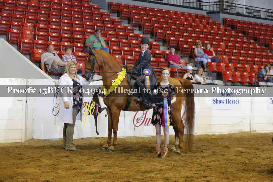 Proof Number 15BUCK_04994
