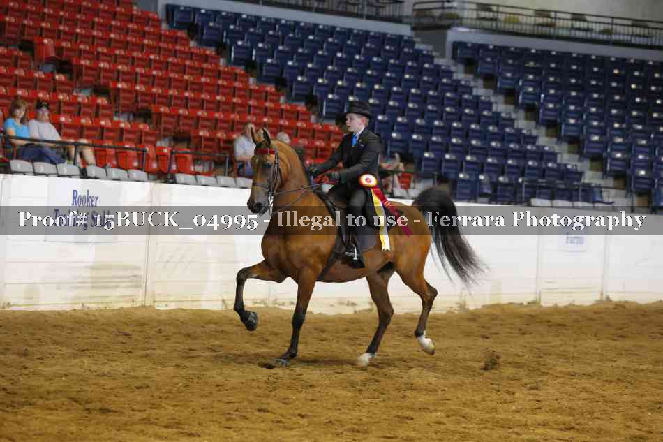 Proof Number 15BUCK_04995