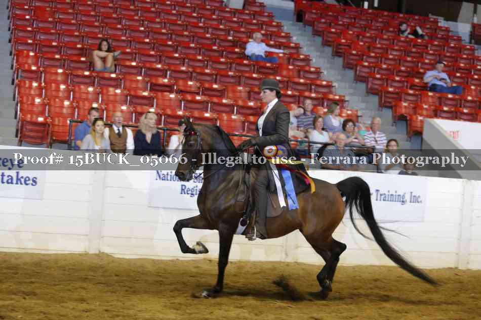 Proof Number 15BUCK_05066