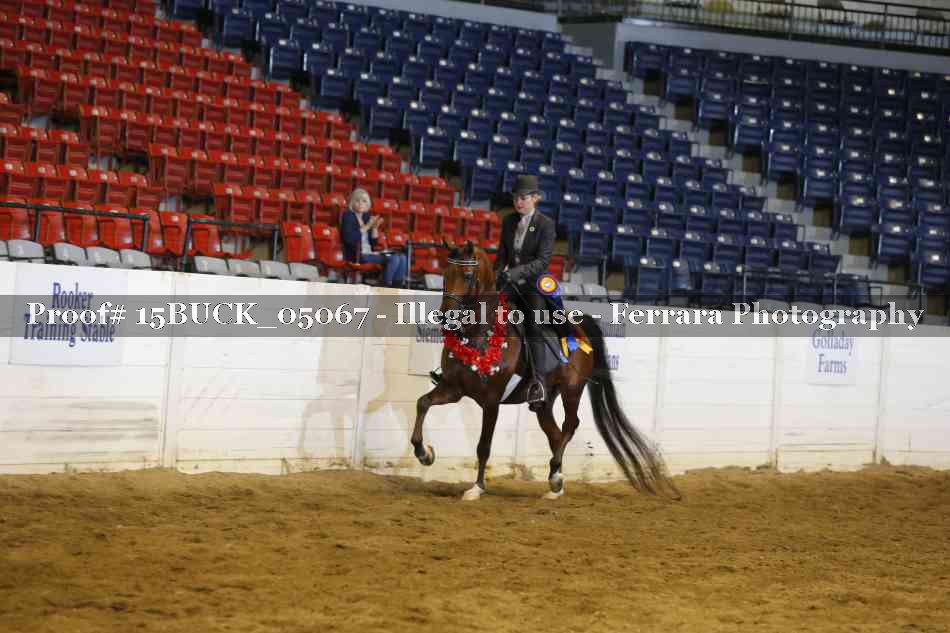 Proof Number 15BUCK_05067
