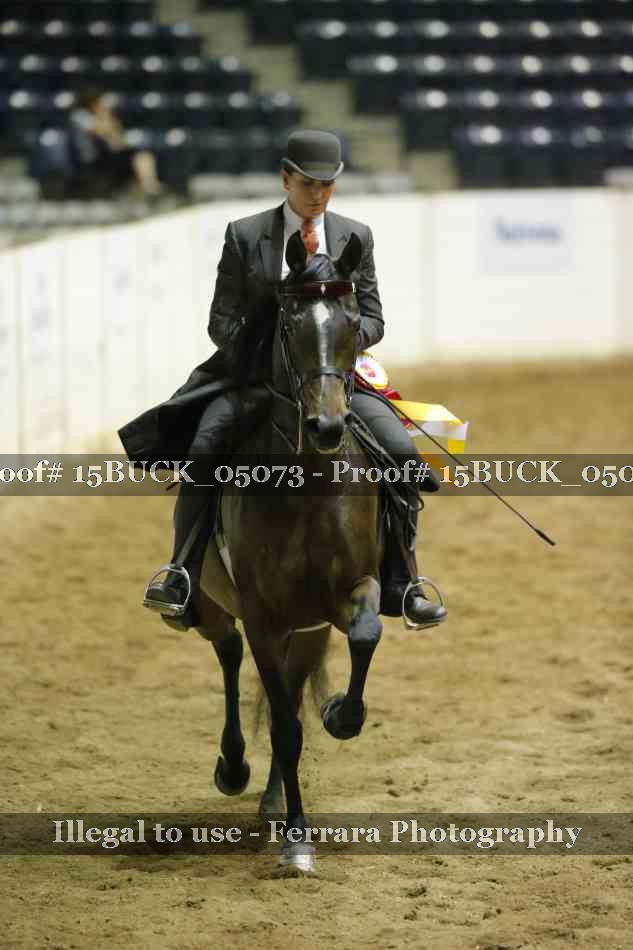 Proof Number 15BUCK_05073