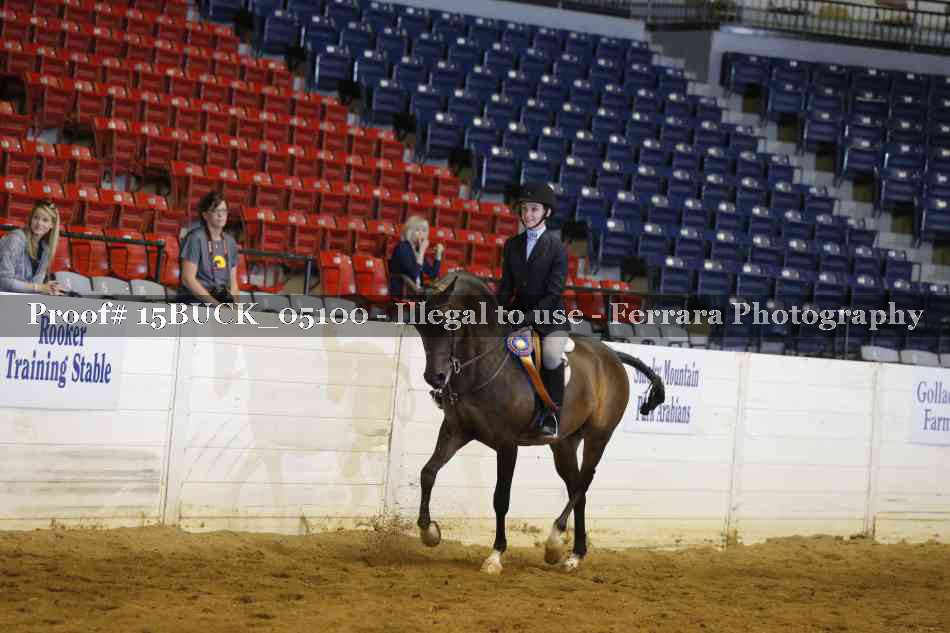 Proof Number 15BUCK_05100