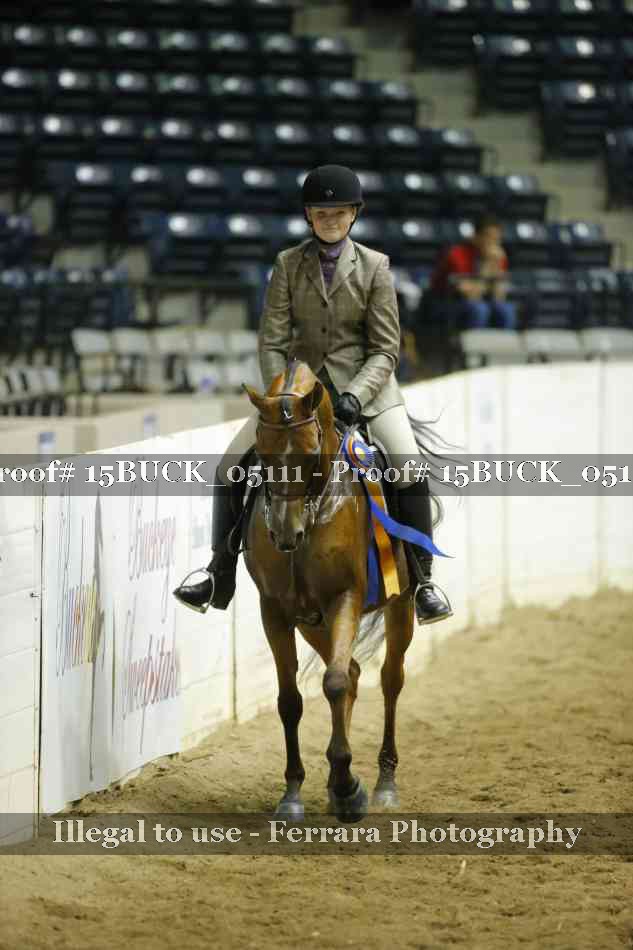 Proof Number 15BUCK_05111